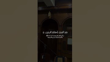 سورة آل عمران - القارئ مالك الزامل