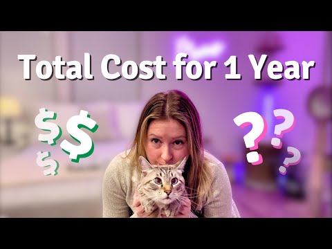 One full year of cat EXPENSES: How much I spend on my cat + free spreadsheet thumbnail