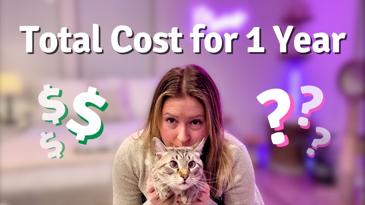 One full year of cat EXPENSES: How much I spend on my cat + free ...