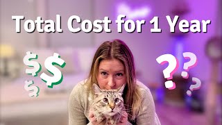 One full year of cat EXPENSES: How much I spend on my cat + free spreadsheet