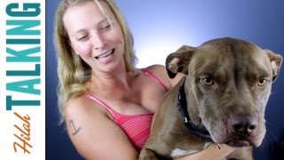 Vlog Update: New mini-series and Mr. Banjo