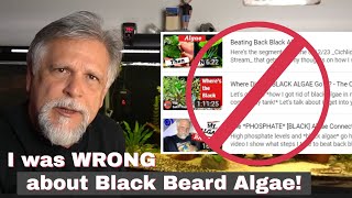 BLACK BEARD ALGAE [the *REAL* Reason it