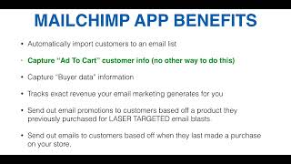 Step 9 App Arsenal MailChimp App - APP Features Arsenal - Shopify Course screenshot 2