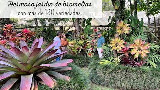 IMPRESIONANTE jardín con más de 18 mil Bromelias | Nativa tropical