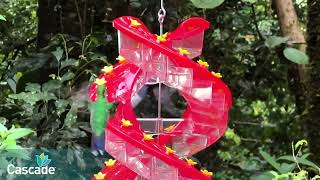 Cascade™ DNA Hummingbird Feeder overview