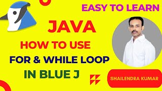 How to use loop program in bluej
