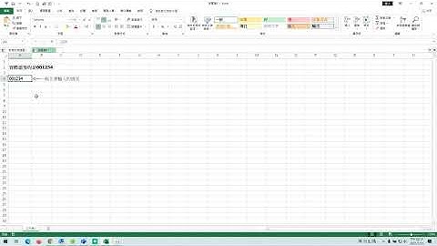 Excel 遇到數字前面有0的，如何將0也要顯示