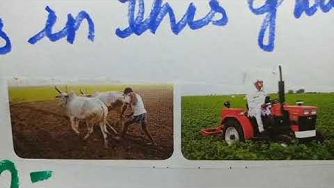 Class 4 ICSE social studies lesson 5 part 2