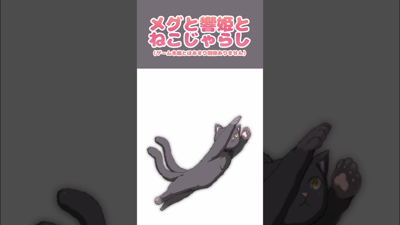 【Nightmare】メグと響姫とねこじゃらし【BlackCat】#Shorts