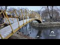 Утки улетели — в парке Гагарина замерзло озеро