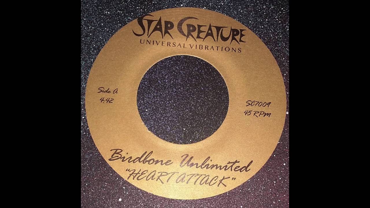 Birdbone Unlimited - Don't Stop adlı videoyu YouTube'da izle Birdbone Unlimited - Don't Stop adlı videoyu YouTube'da izle