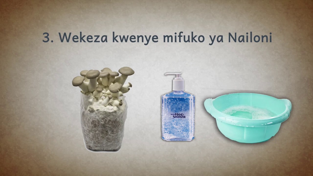 DLTP Short Clips Mushroom farming (Swahili) YouTube