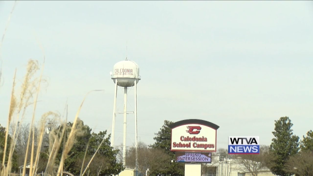 Caledonia's prosperity to rise with TVA plant construction