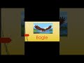 Eagle 🦅 vs Pigeon 🕊️ vs Sparrow 🐦 | Fun Kids Bird Quiz &amp; Facts! #kidssongs #kids