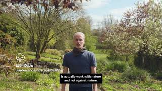 How to save water in the garden