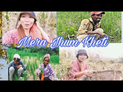 Mera kheti dekho //Jhum kheti // dhan marwa kheti 🌾|| Dokum village ...