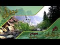 الشيخ ياسر الشرقاوى وأداء فريد من سورة طه