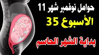 حومل نوفمبر شهر 11 الأسبوع 35 من الحمل نهاية الشهر الثامن ، موبداية الشهر الحاسم