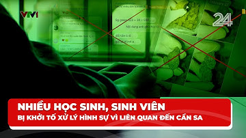 Nhiều học sinh, sinh viên bị khởi tố xử lý hình sự vì liên quan đến cần sa | VTV24