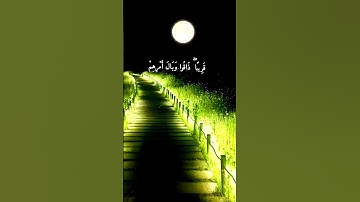 #سورة الحشر بصوت طارق محمد ❤️#القرآن الكريم #سورة الحشر
