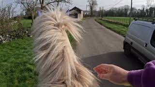 Stole Daughters Pony by Diary of a Happy Hacker 2,620 views 2 months ago 14 minutes, 19 seconds