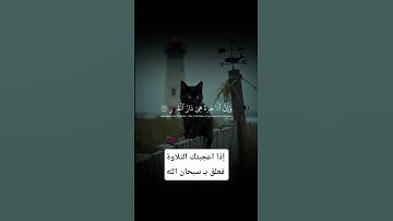 أكتب شيء تؤجر عليه ❤️ #تلاوة_خاشعة #محمد_صديق_المنشاوي