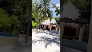 Maldives #Maldives#VisitMaldives#MaldivesIsland#MaldivesParadise#MaldivesTravel#MaldivesResort#Maldi