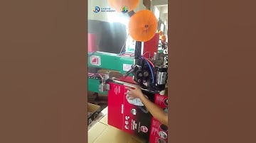 Double Servo Motor Stitching Machine #machine