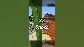 Самый высокий кактус в майнкрафте