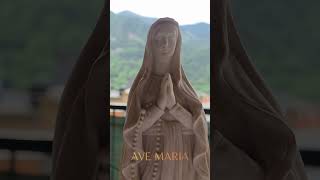 Ave Maria 🙏 A Moment of Peace with Mary #love #avemaria #prayer #peace
