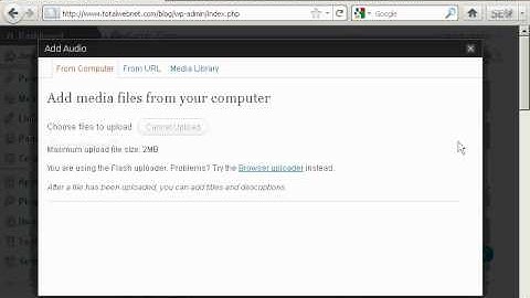 Video 17 - How to Insert Audio or MP3 Files.avi