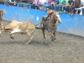 Campeonato Nacional Femenino