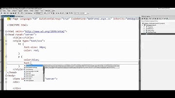 CSS - Simple example how to add style sheet to web form