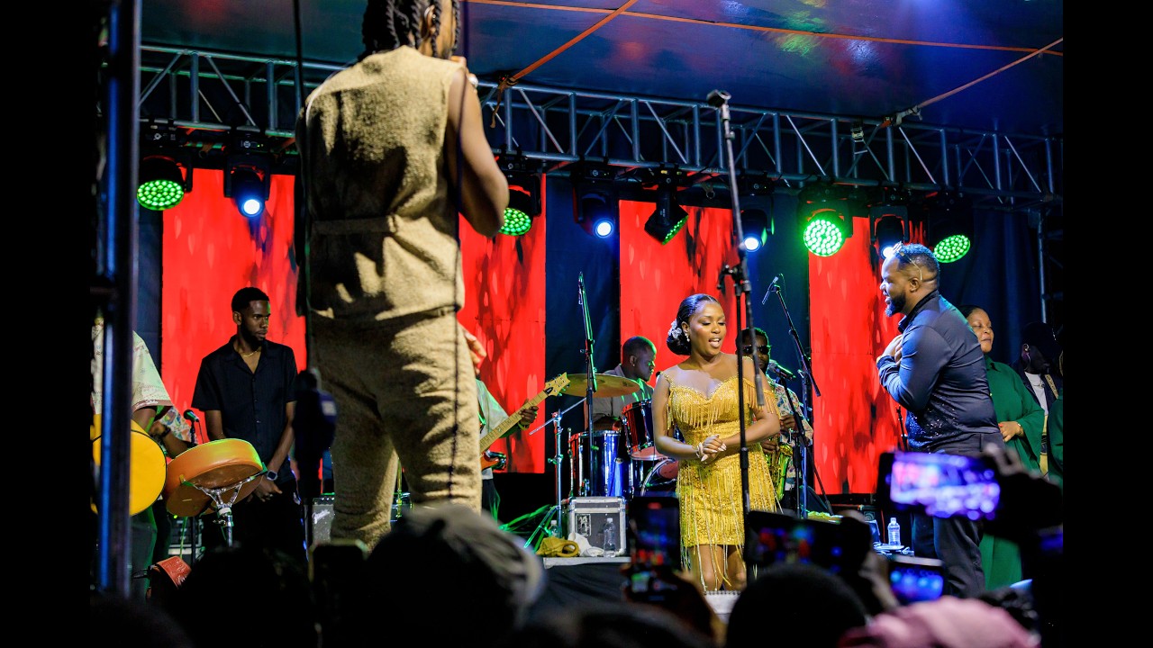 Jah Prayzah l Master H lTrevor Dongo l Freeman |Alchemy  Perfomance @Colleen & Caroline Afterparty