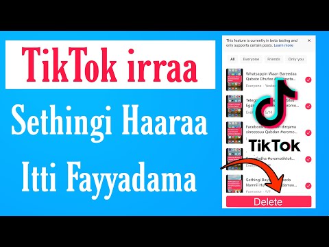 TikTok Irraa Sethingi Bayyee Bareedaa Itti Fayyadamaa