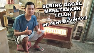 Pingin nggak punya peternakan mandiri seperti ini?