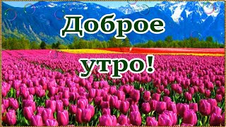 Доброе Утро! Прекрасного Утреннего Настроения! 😘🌹🌹🌹