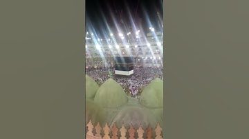 سورة التكاثر - ألهاكم التكاثر