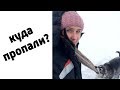 Жизнь на ферме#80: Куда пропали?