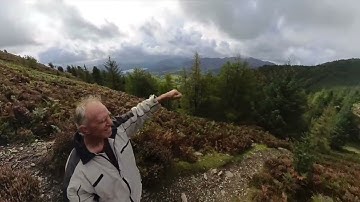 in search for a view