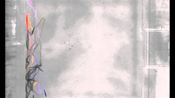 Tracking of zebrafish with occlusions