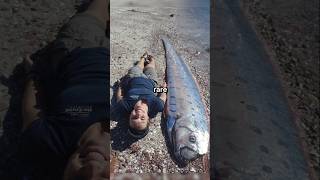 Rare Photos You've Never Seen Before [Part 113]
