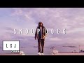 Interview de Snoopdog - Le Grand Journal de Cannes