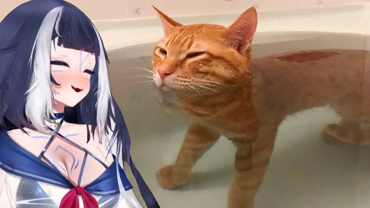 Shylily Reacts to Absolute Cat Chaos