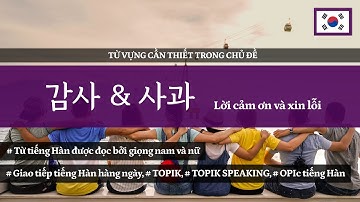 Lời cảm ơn và xin lỗi (감사&사과) -  2000 từ vựng tiếng Hàn cần thiết theo chủ đề | ES CONSULTING