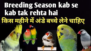 Breeding Season for All Exotic Birds in Hindi Urdu