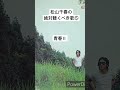 松山千春の絶対聴くべき歌⑤ 青春Ⅱ #shorts #歌