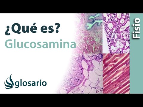 GLUCOSAMINA | Qué es, alimentos dónde se obtiene, beneficios, mecanismo de acción y para qué sirve