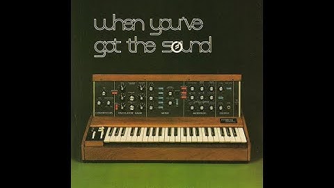 "Minimoog Model D Popularity" Tom Rhea interviewed by Immanuel Brockhaus #03