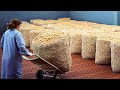 How its made wine cork  harvesting 50 million cork wine and making process in factory